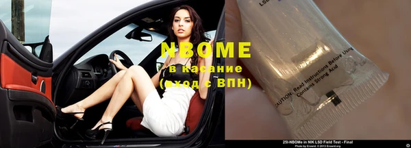 гашик Пестово