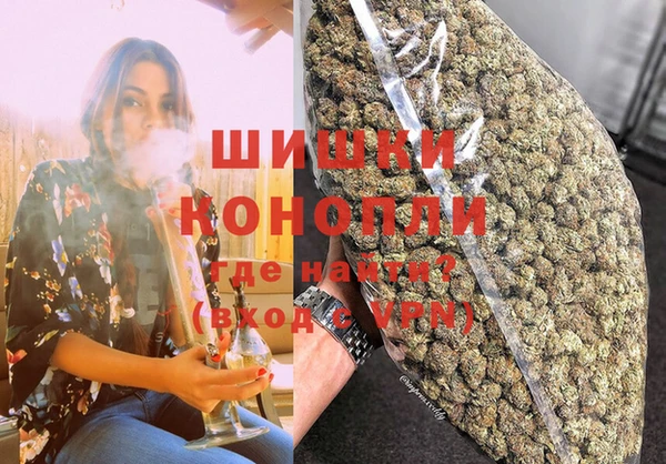 гашик Пестово